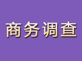 盐湖商务调查